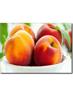 La Vita E Bella Şeftali Temalı Kanvas Tablo SM-1028