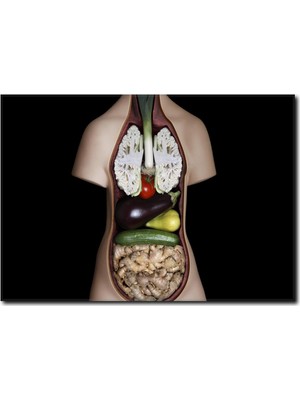 La Vita E Bella Yeşil Bezelye Kanvas Tablo SM-1065