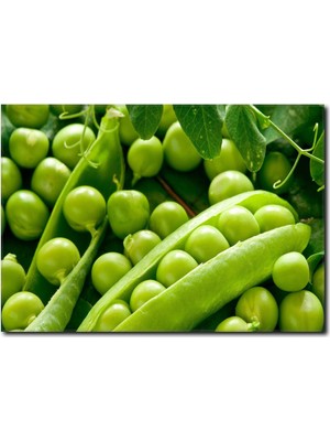 La Vita E Bella Taze Sebzeler Temalı Kanvas Tablo SM-1066