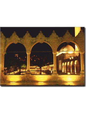 La Vita E Bella Urfa Balıklıgöl Kanvas Tablo TY-1024