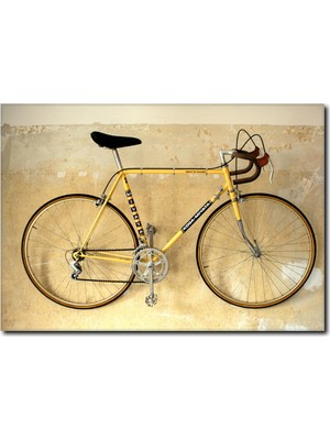 La Vita E Bella Bisiklet Sporu Kanvas Tablo YF-1032