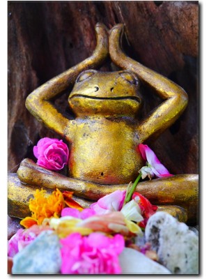 La Vita E Bella Yogacı Kurbağa Temalı Kanvas Tablo YF-1049