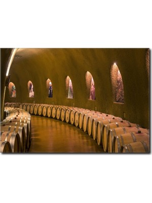 La Vita E Bella Şarap Mahzeni ve Şarap Fıçıları Kanvas Tablo YM-1044