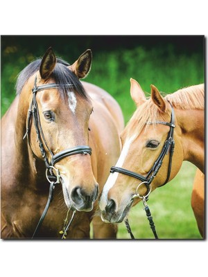 La Vita E Bella Doğa ve Atlar Kanvas Tablo AT-1027