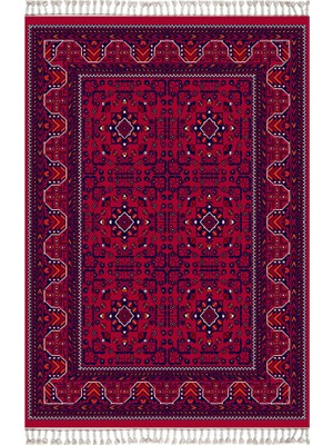 Rugs Modern Mira Pasha 2019 Bordo Vintage Halı