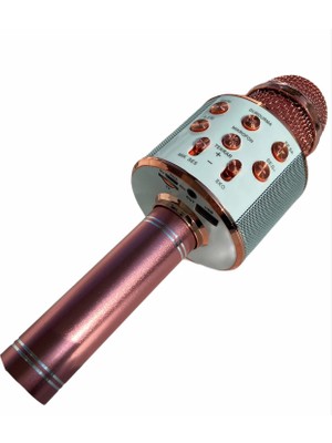 Ninova Technology Karaoke Mikrofon