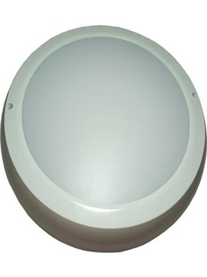 Teletek 22W LED Glob Günışığı 4000K