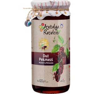 Antalya Reçelcisi Dut Pekmezi 620 gr