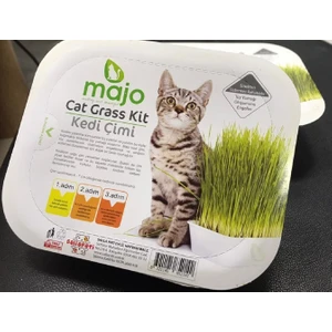 Cat Grass Kit Kedi Çimi
