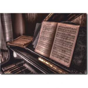 La Vita E Bella Chopin Detaylı Kanvas Tablo MS-1012