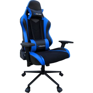 Winner Oyuncu Koltuğu