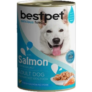 Best Pet Somon Balıklı Köpek Konservesi