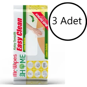 Mr. Wipes Yüzey Temizleyici Islak Mendil