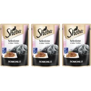 Pouch Somon Balıklı Yetişkin Kedi Konservesi 85 gr (3 Adet)