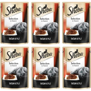 Pouch Sığır Etli Yetişkin Kedi Konservesi 85 gr (6 Adet)