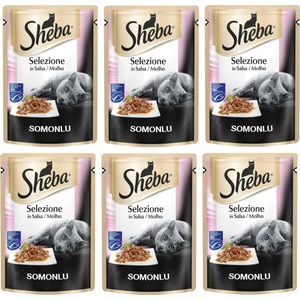 Pouch Somon Balıklı Yetişkin Kedi Konservesi 85 gr (6 Adet)