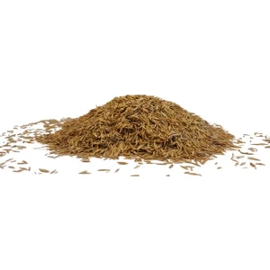 Tarım Evim Ingiliz Çimi (%100 Tek Çeşit) 1-2-3-5-10 kg ( Lolium Perenne )