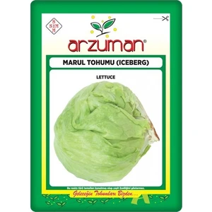 Iceberg Marul Tohumu 5 gr Göbekli Marul
