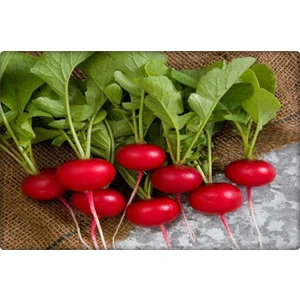 Fındık Turp Tohumu (10 Gr)