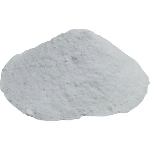 Salça Domates Turşu Koruyucu Toz Salisilik Asit 100 gr