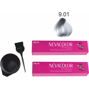 Color Tüp Boya 9.01 Gümüş 50 ml x 2'li + Boyama Seti