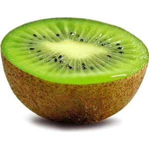 Murat Tohumculuk Murat Tohum Bodur Bonsai Kivi Ağacı Tohumu Ekim Seti 5 Adet Tohum + Saksı + Toprak