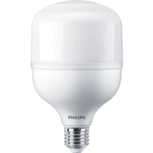 Trueforce Core LED Ampul 35W E27 6500K,