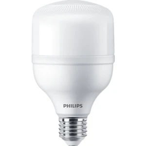Trueforce Core LED Ampul 20W E27 6500K