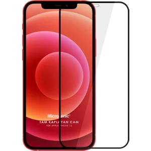 Apple iPhone 12 Tam Kaplayan Temperli Cam Ekran Koruyucu Siyah