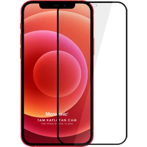 Apple iPhone 12 Mini Tam Kaplayan Temperli Cam Ekran Koruyucu Siyah