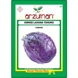 Kırmızı Lahana Tohumu (Kara Lahana) 10 gr