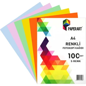 Renkli Fotokopi Kağıdı A4 5 Renk 100'lü