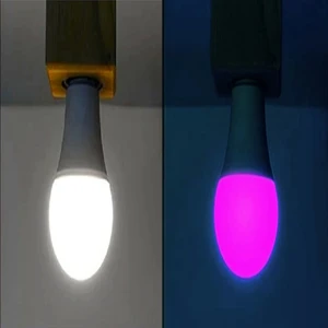 2 Renk Ampul 10W + 1W LED Ampul - Beyaz Renk 10W + 1W  Gece Lambası