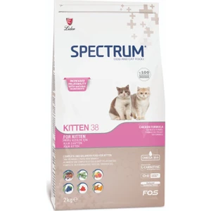 Kitten38 Yavru Kedi Maması 2 Kg