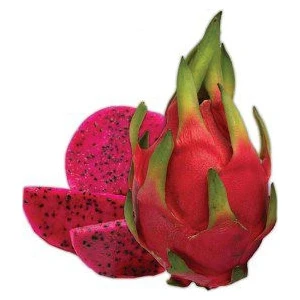 15 Adet Pitaya Ağacı Tohumu Ithal Kırmızı Pitaya Tohum Ejder Meyvesi Tohumu