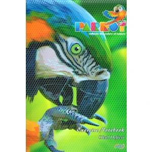 144 Yaprak Çizgili A-4 Spiralli Plastik Kapak Harita Metod Defter