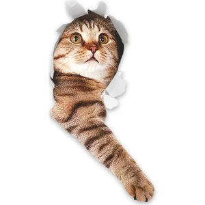 Kedi Model 1 Araba Oto Sticker Yapıştırma Renkli