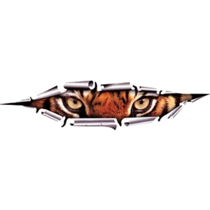 Kaplan Model1 Araba Oto Sticker Yapıştırma Renkli