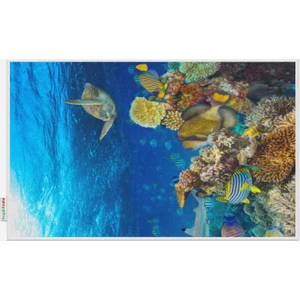 Tropik Home Akvaryum Desenli Dijital Baskılı Püsküllü Polyester Kaymaz Tabanlı Banyo Paspası