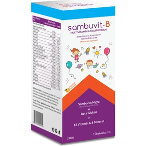 Sambuvit-B Şurup 250 ml