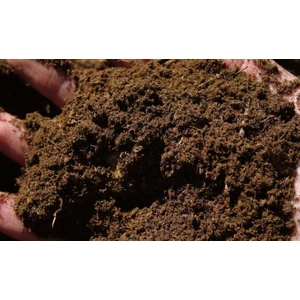 Murat Tohumculuk Murat Tohum Orman Toprağı Orman Humusu 2,5 Litre Orman Toprağı