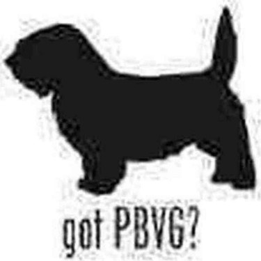 Universal Got Pbvg Petit Basset Vendeen Griffon Dog Sticker Fiyati