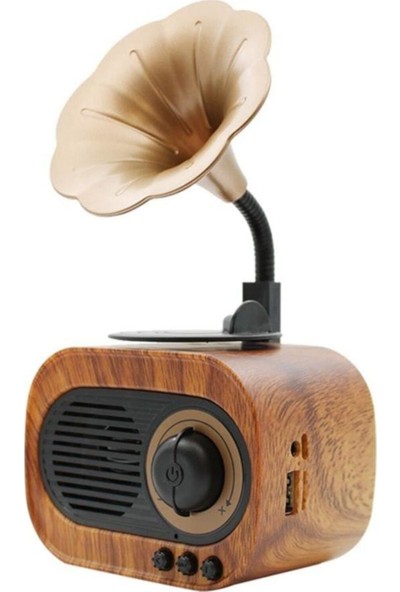 Narmarket B5 Nostaljik Mini Gramofon Radyolu Bluetooth Hoparlör