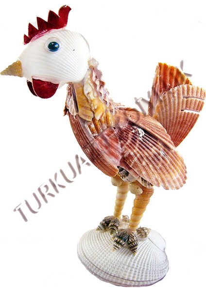 Tavuk Biblo
