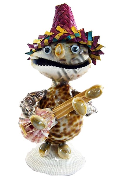 Mandolin Çalan Adam