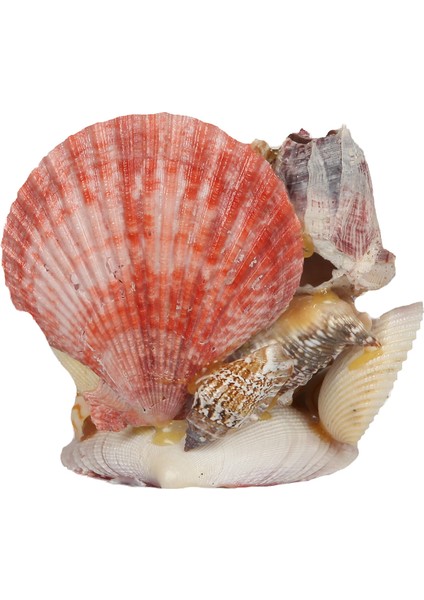 Kadın Biblo-Çiçekli fiyatları