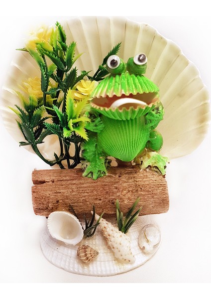 SD436 Kurbağa Biblo/scallop