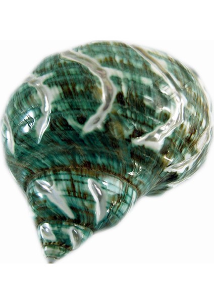 Turbo Burgess Spiral 4"