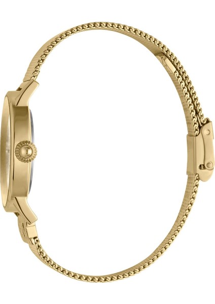 4894626051043 Kadın Kol Saati modelleri