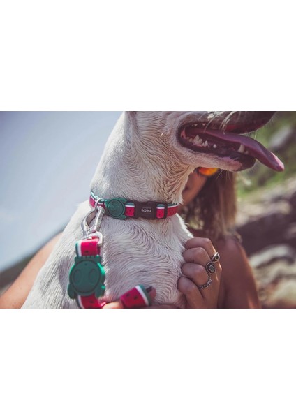 Lola Boyun Tasması modelleri